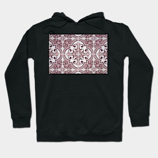 Portuguese glazed tiles Hoodie